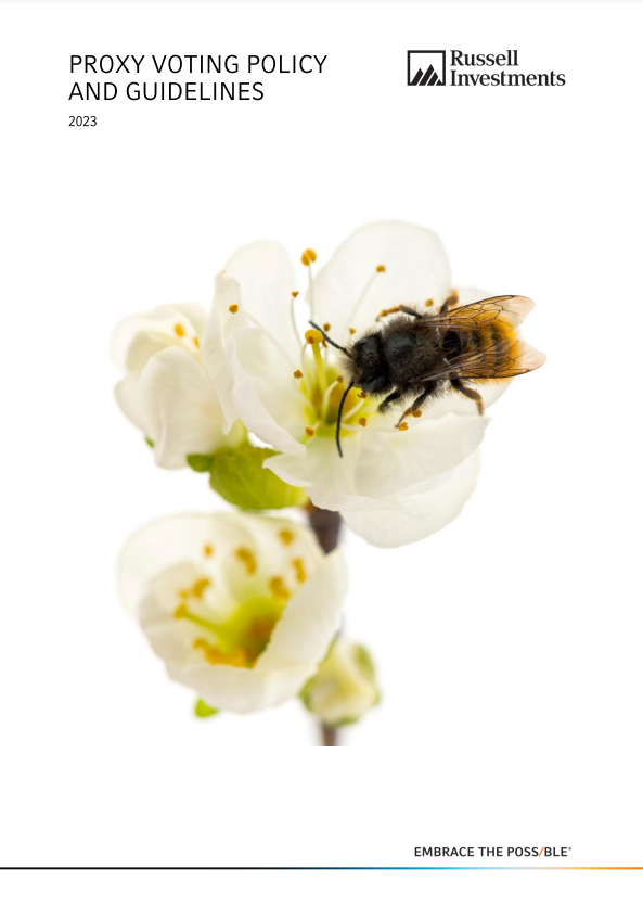 Proxy voting guidelines Thumb