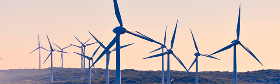 Performance with purpose