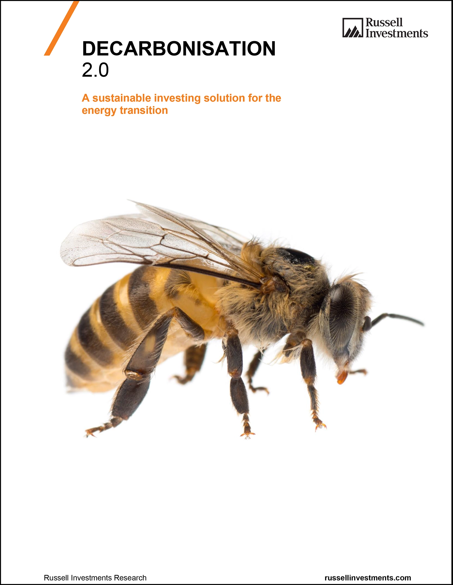 Global Low Carbon Equity Strategy